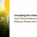 Escaping the Urban Jungle: How Virtual Nature Rooms in Offices Reduce Stress and Boost Focus